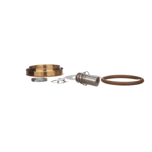 (image for) General Electric 00-892072 KIT,SERVICE,3/4 STEAM VALVE